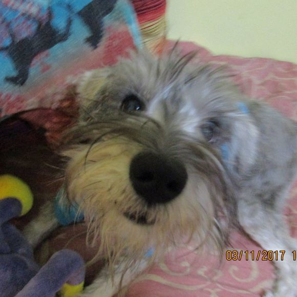 Meet your Posher, Heather - Picture 1 of 1